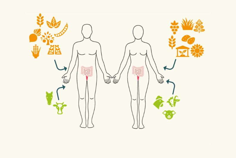 fichier-programme-quelles-activites-agricoles-sont-liees-au-risque-de-cancer-colorectal-dans-agrican-14052025112615.jpg
